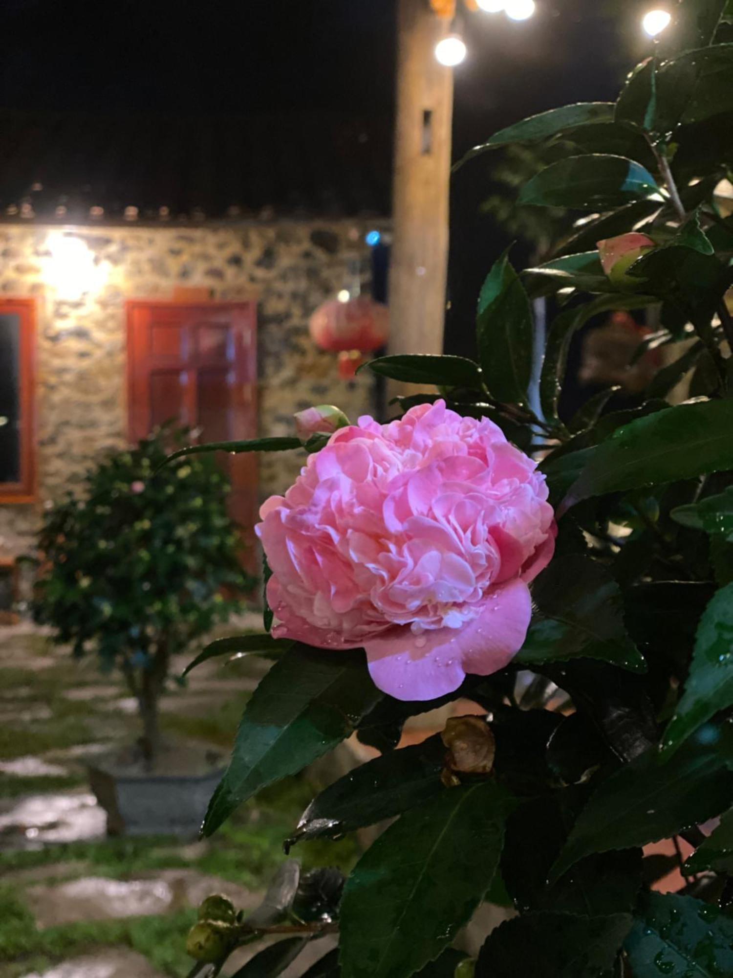 Lan Rung Homestay Lung Nieo Exterior foto